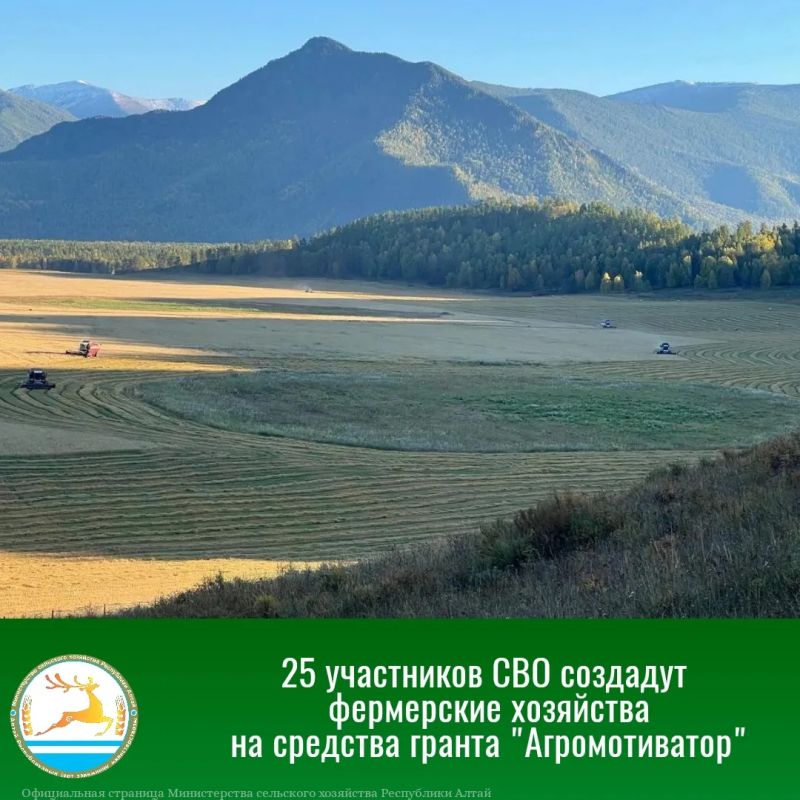 Завершен отбор по предоставлению грантов в форме субсидии на реализацию проектов создания или развития фермерских хозяйств участниками специальной военной операции