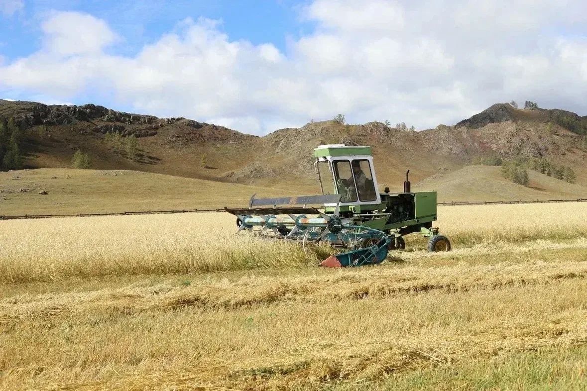Андрей Турчак поздравил работников сельского хозяйства с профессиональным праздником Андрей Турчак поздравил работников сельского хозяйства с профессиональным праздником