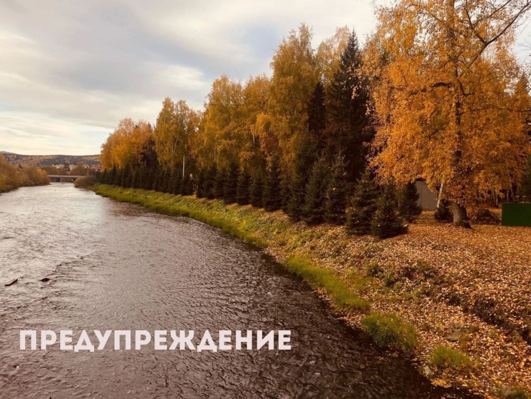 По данным синоптиков, 20–22 октября в Республике Алтай ожидается сильный ветер (порывы до 25 м/с, в горах — до 35 м/с), дождь и мокрый снег, гололед
