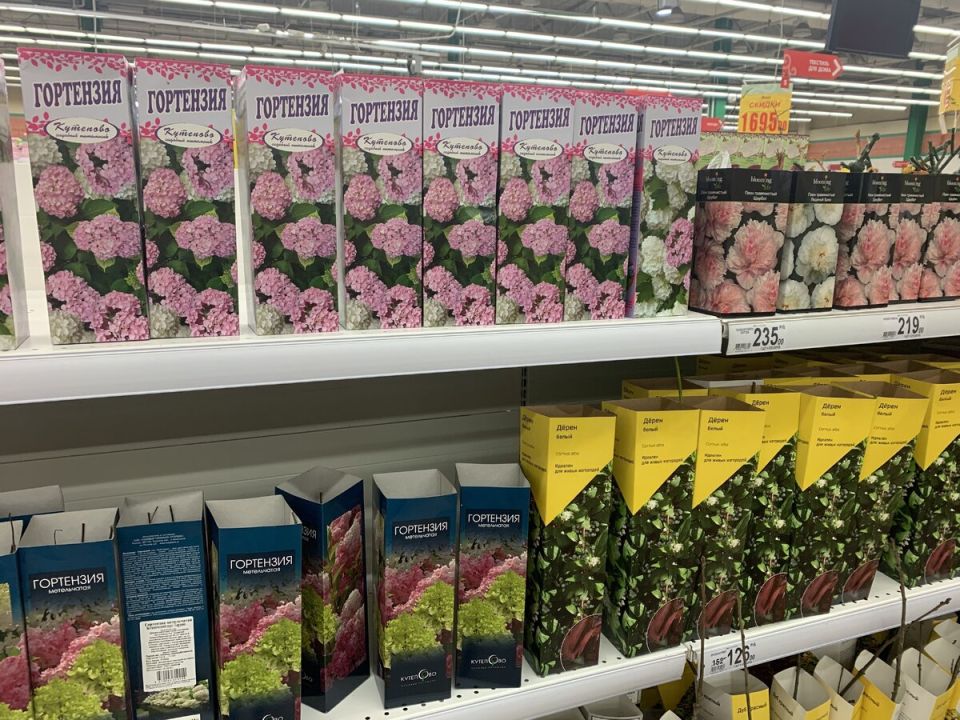 Как правильно выбрать многолетние растения весной