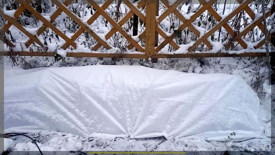 ��������: ���������� ������� ��� �������� ���, ������� ������� �� ������ �������