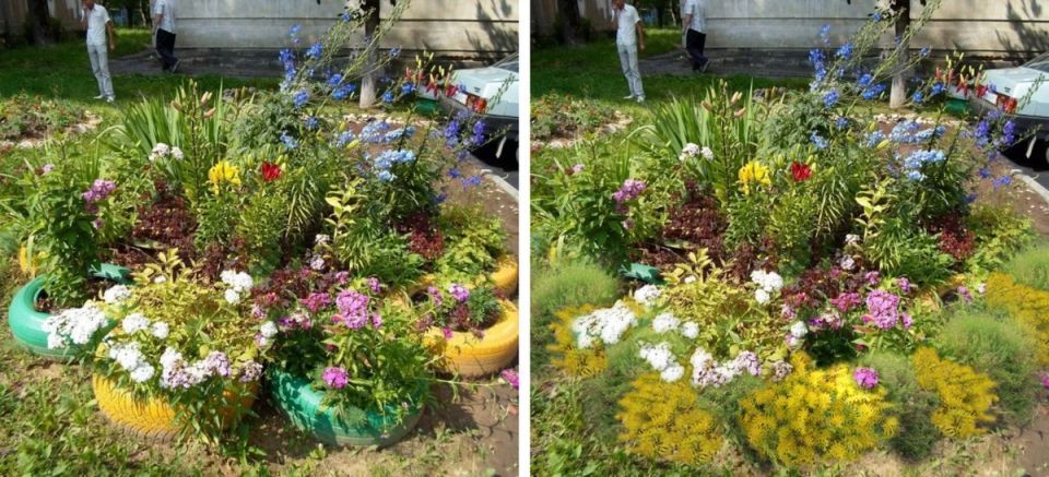 Как оживить неудачный цветник