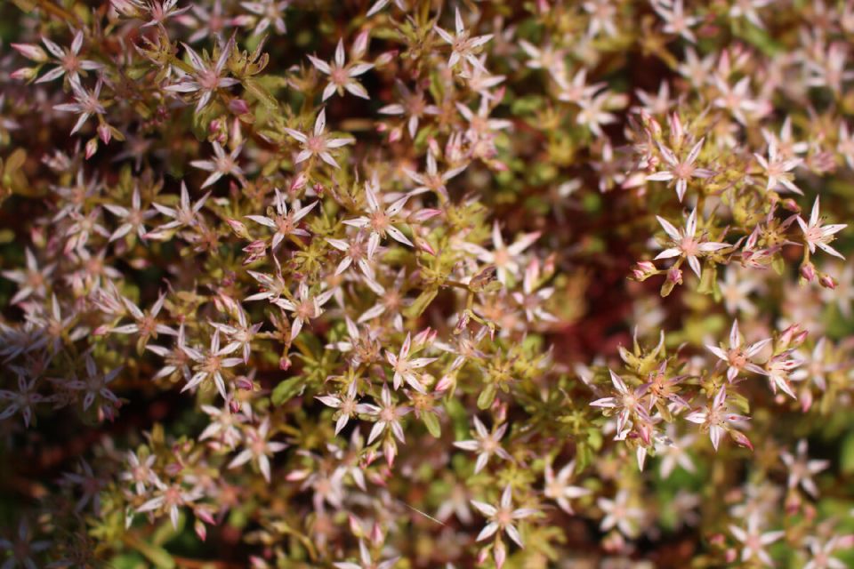 ���������� ������: ������� ����� �� ���������� ���������