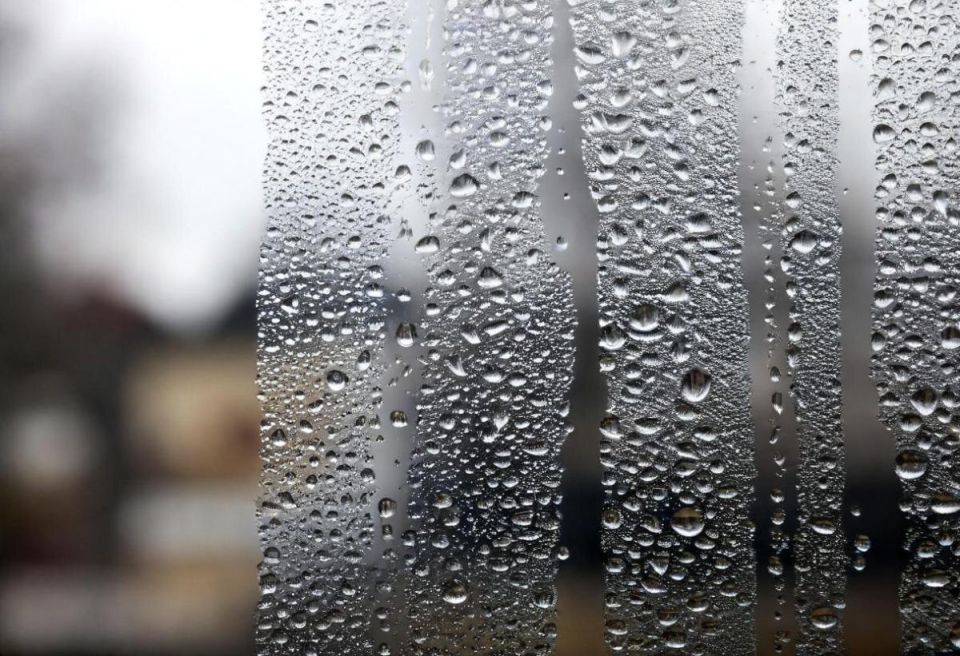 ����������� ������� �������� ���������� �� �����