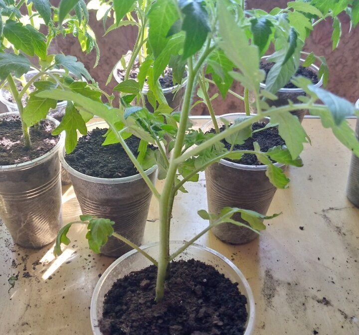 ������ ������� ������� ���������� ������ � ������