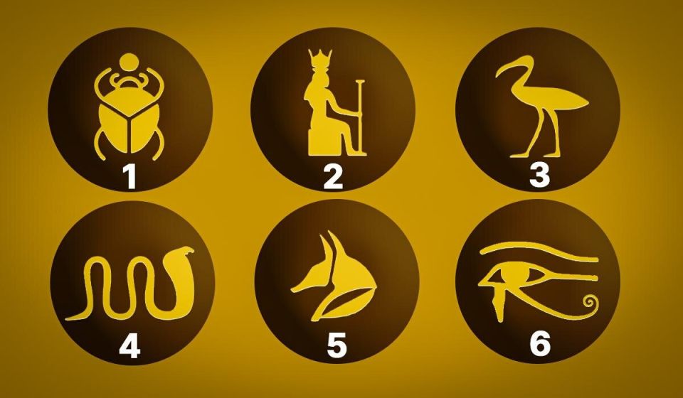 ��� ������� ���������� ������� ����� �������� ���� ��������