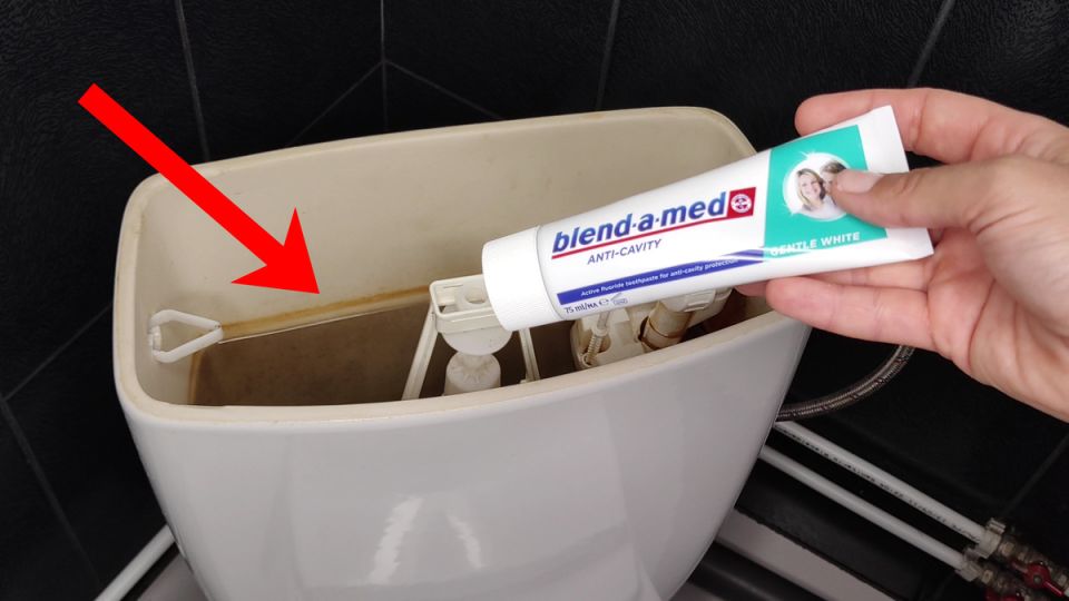 ���������� �������� � ����� �� ��������