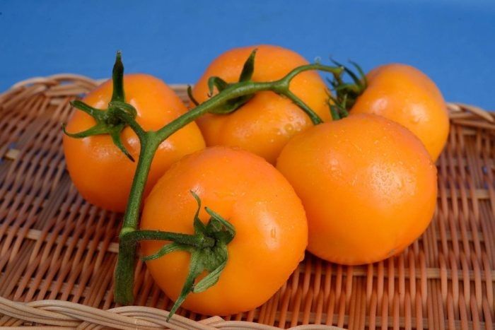 ����� �������: ��� ����� ����� ����������� ������ ���������