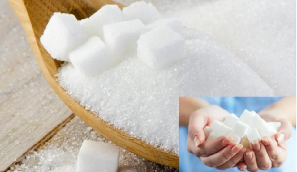 �����: ���� ��� ����? ������� ���������� ����� �����������