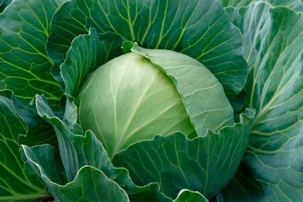 ������� ����� �����: ��� ��������� ��������� ������ ������ 2026 ����