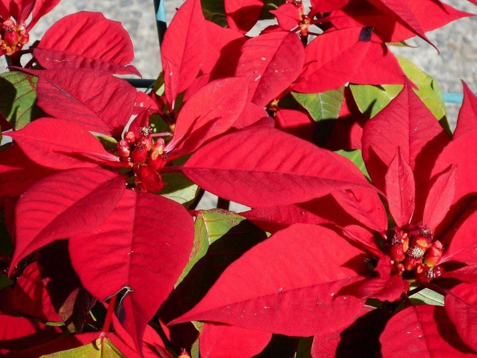 ��� ������ �������� �������������� ������ ������ ������� ���