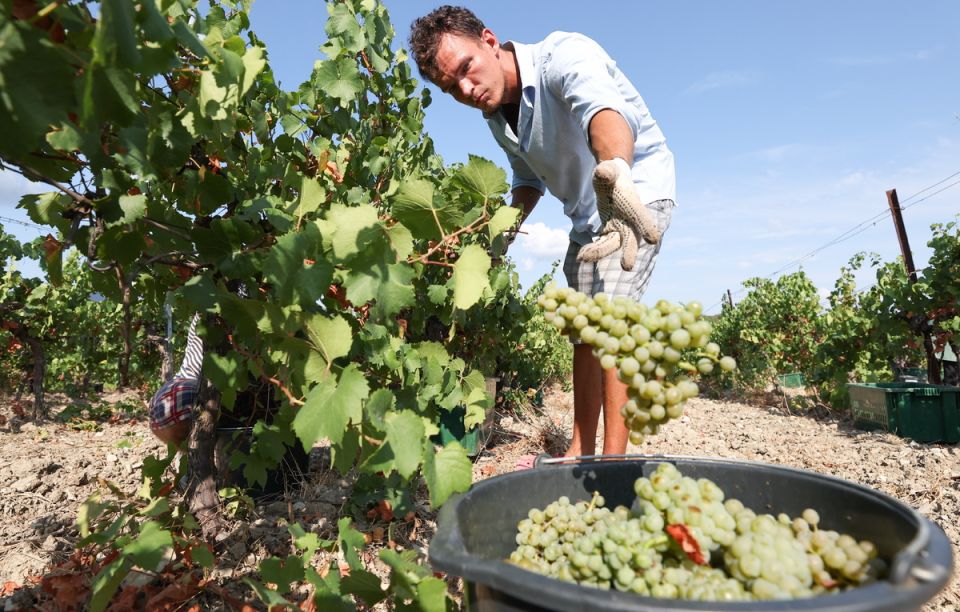 ��������� ������: 