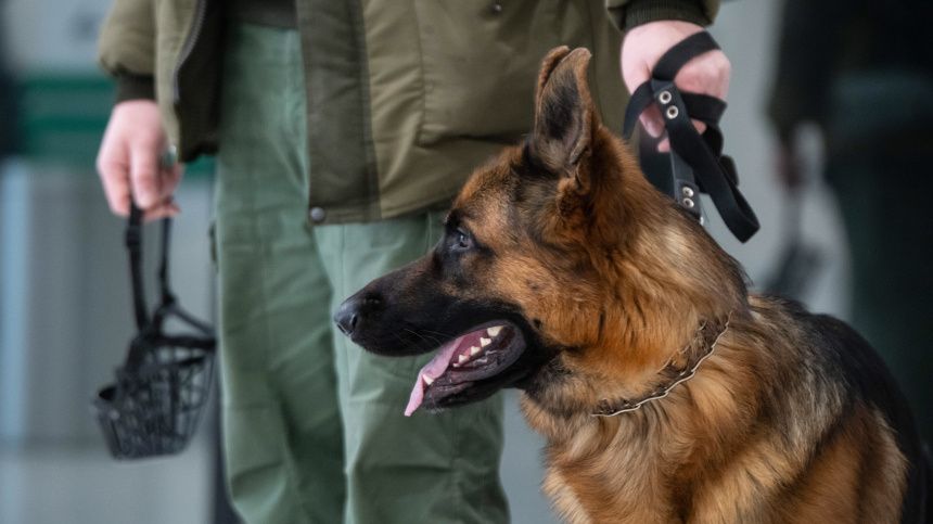 � ������� ��������� ����� ���������� ��� ��� � ������� �������� ��� ���������