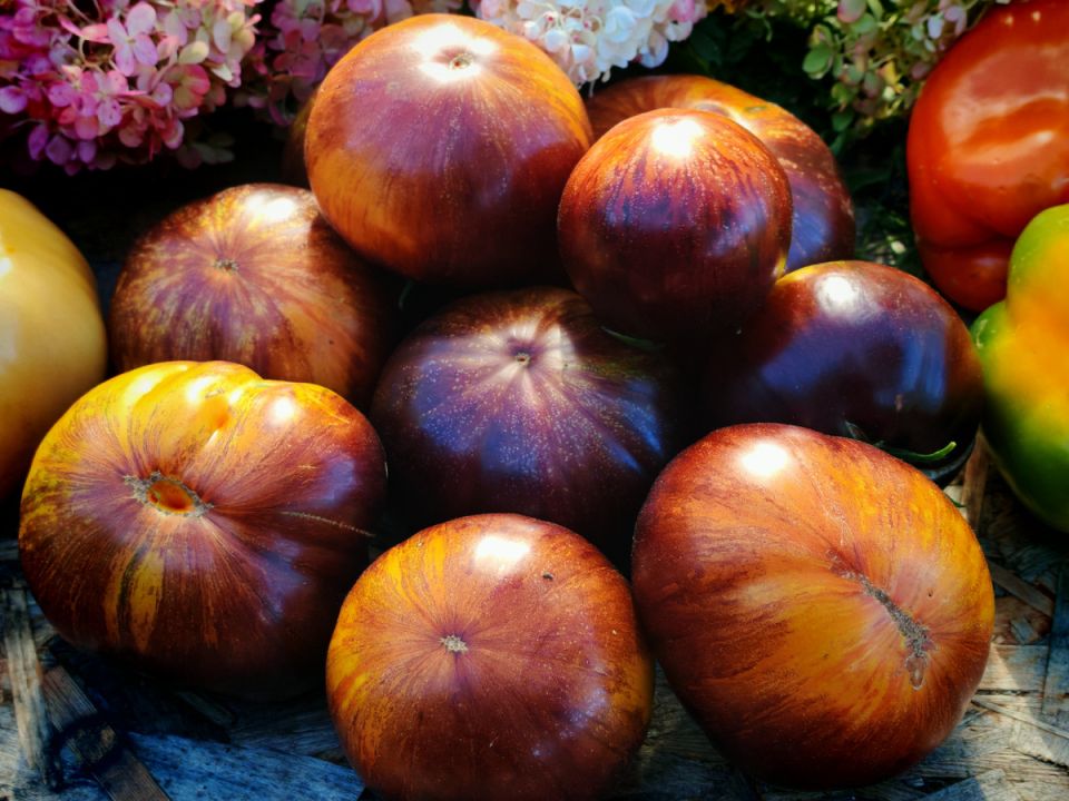 ������� ������: ������� ���������� ����� � ������ �� ������