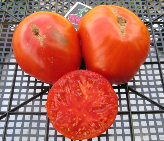 ����� ���� ������: ��� ��������� ������� ��� �������� �������