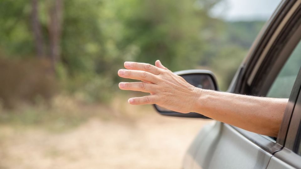 ��������� ���� �����: ��� ���� ������ � ����� �������� ������ �� ������������ �� ����