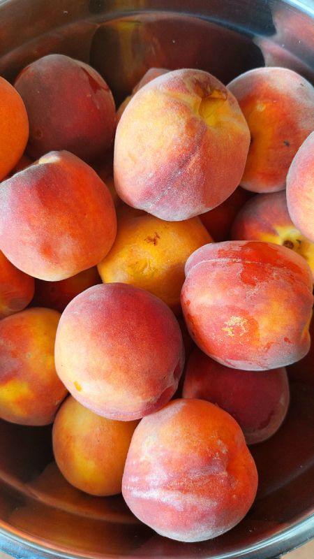 ������ ������������ ������ �� ������� � ������ ���