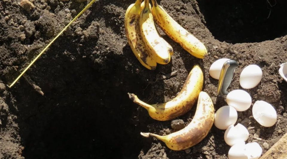 ���� � �����: ��������� ������ �� �������� �������� ��� ������ �����