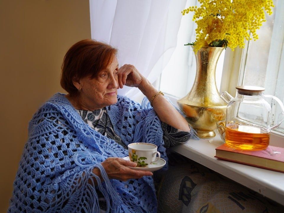 ����� ������� � ���� ���� ����� �� ������ �� �������� � 2026 ����