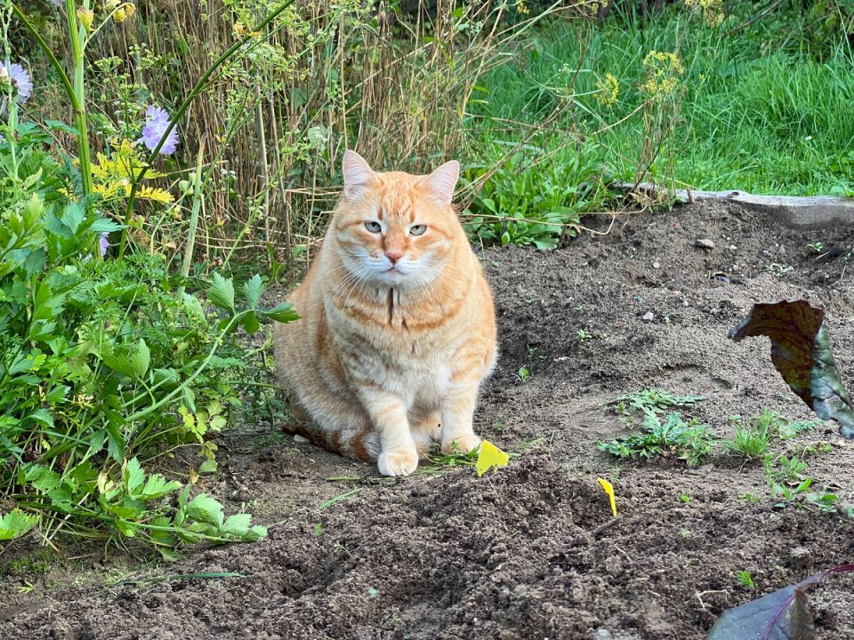 ������� �������� �� ������� �� ��������: ������� ������ �� ��������� ������