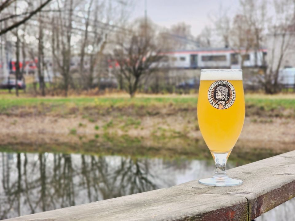 ������ ���� ������: ���������� ������ � ��������