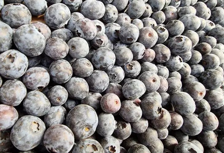 ������� � ������: ����� ������� �������� ������ �������������� ��� �����