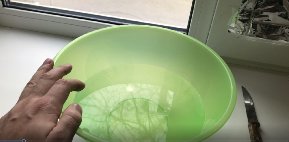 ������� ���� ��� ��������: ������� ��������� �����