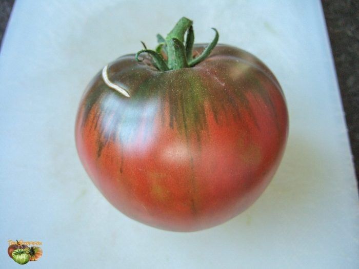 ����� ������ �������: ���������� ���� ��� �������� ��������