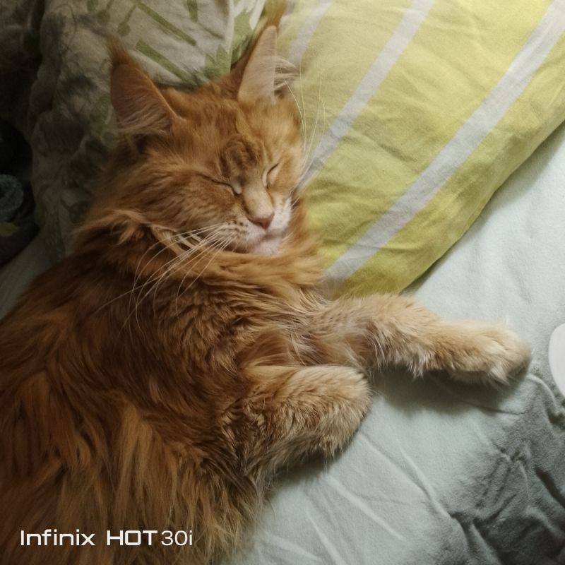 ���������� �������: ��� ��������, ����� ������ ������������