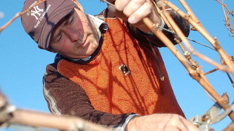 ����� � ��������: ����� �� �������� �����?