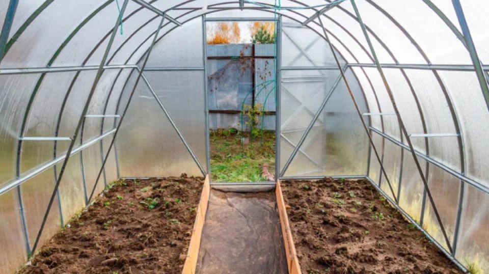 ���������� ������� � ����: ������ ��� ����������� ������