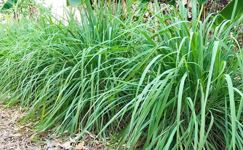 ������ ��� ��� �������: 7 ��������-����������� ��� ������ ����