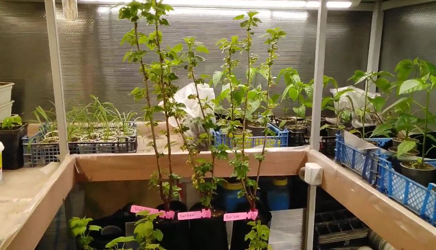 ��� �������� ������ ��������� �� ����� ����� � ������ � ����������