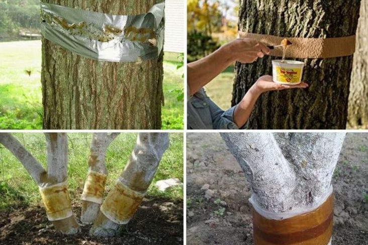 ������ �����: ��� ������� �������� � ������ �������� �� ����������