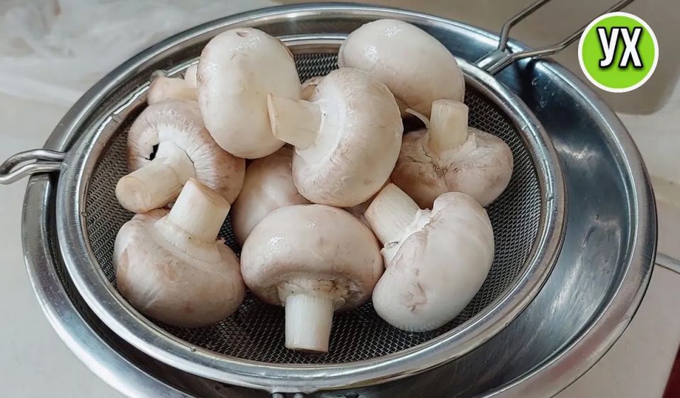 ������������� ������ � ������������� �������� ���������