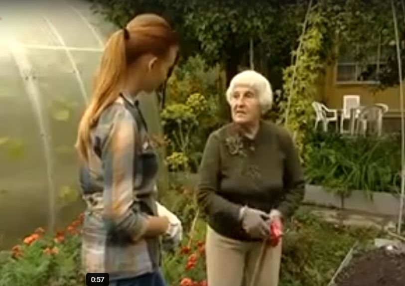 ������� �������� ������� ������� �� ������ ������