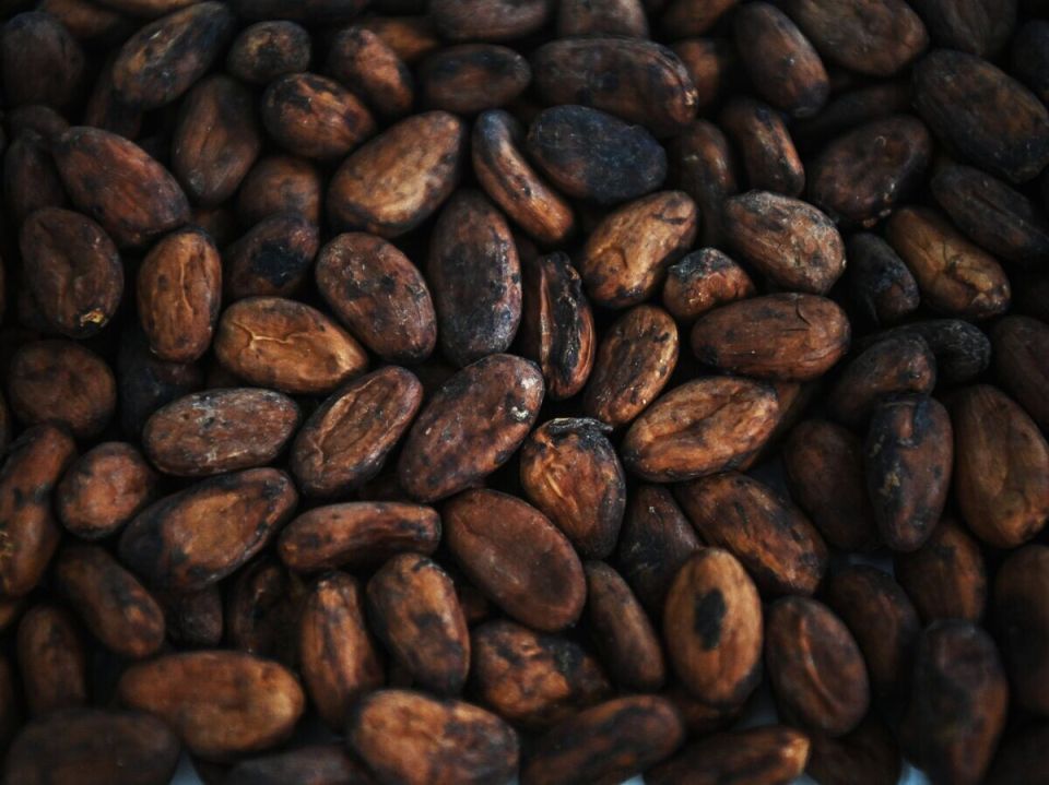 ���� �� �����-���� ���������� ������� � ��������� ���������