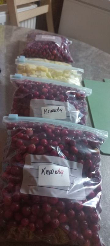 ��� ���������� �� ����: ������� ������ � �������