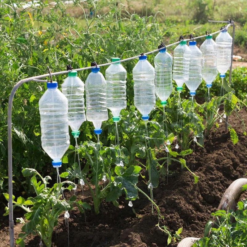 ��� ������������ ������ ������ � ������� �������