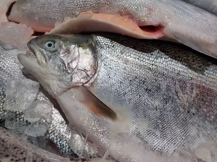 ������ ������� ������ ���, ������� ���������� ��������, ������� ������ �� �������