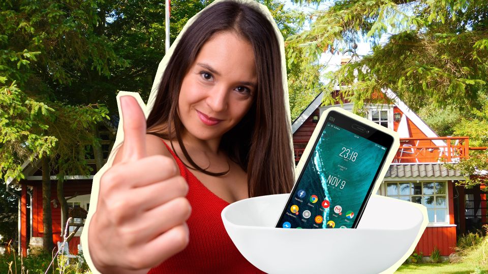 ��� ����� ������� ������ ������� � �������: ������ �����������