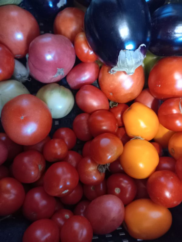 ���� �� �������� � �������: ������� ��������� ������