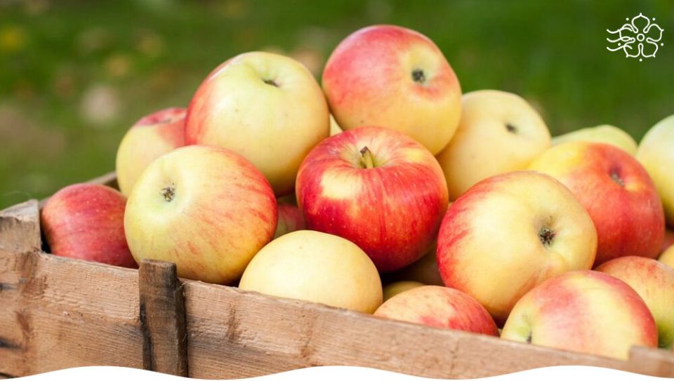 ����������� �������� ��� ���������� ������ �����