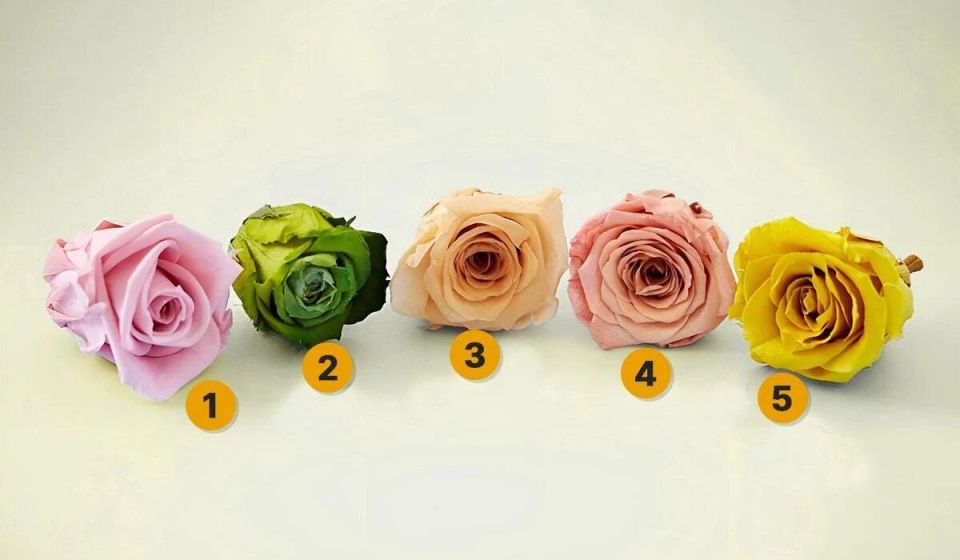 ��� ������� ��������� ����: ��������������� ���� �� ���������� �������