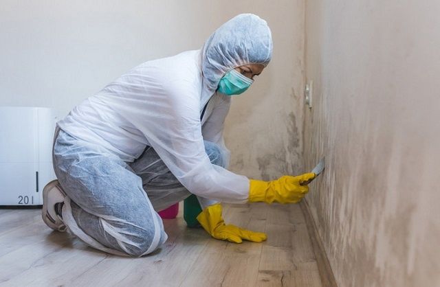 ����������� ������ � �������� � ��������: ������� � ������