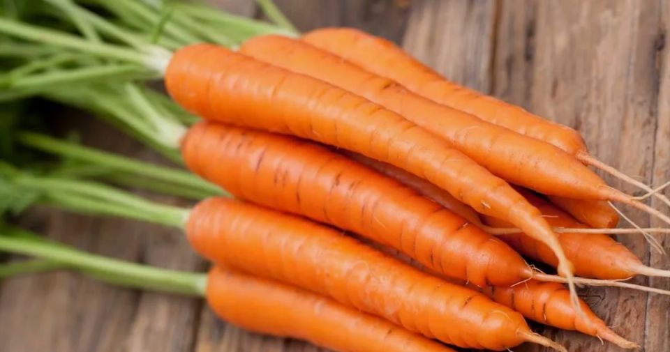 ��� �������� ������ � ���������� ������ ������ �������: ������� ���������� ������