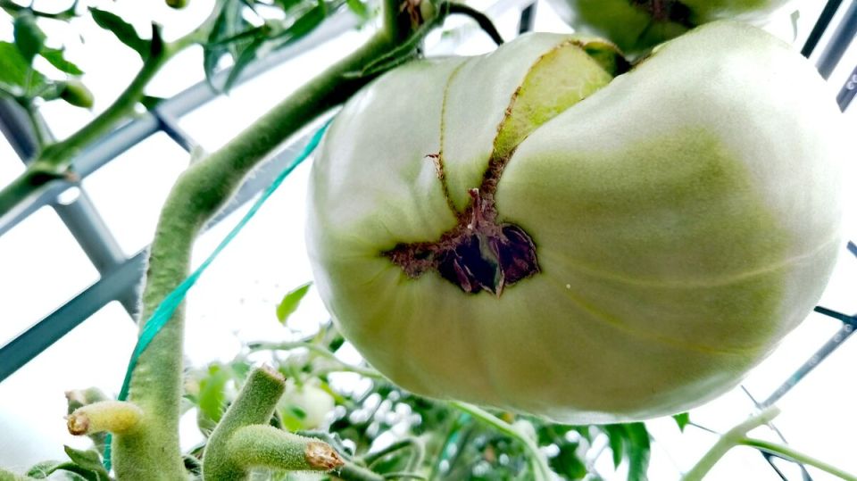 ��������� ����� �������