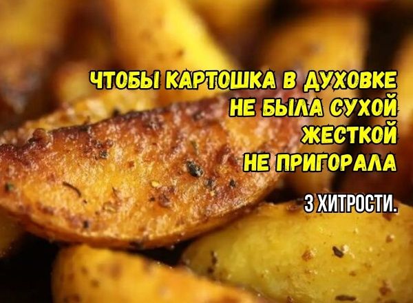 ��� �������� ������ ��� ��������� ��������: ������ ���-�������