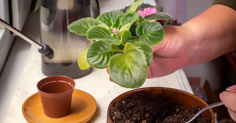 ��� ������� ��������� ����� ��� ������ ������ ������