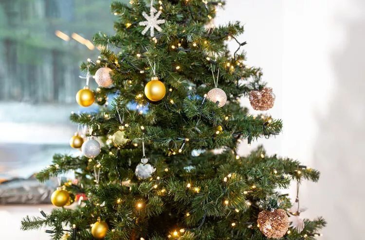 ��� ��������� ��������� �� ������������� ����� ����� �����������